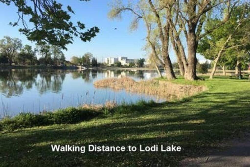 Robert St Cottage, Near Lodi Lake Екстер'єр фото
